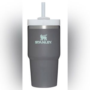 Brand New Stanley QUENCHER H2.0 FLOWSTATE™ TUMBLER | 20 OZ | Charcoal Color
